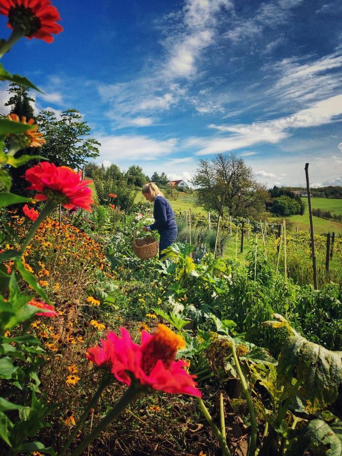 Landhaus Schaller Im Suedburgenland Maria Bild Экстерьер фото